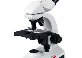 DM300