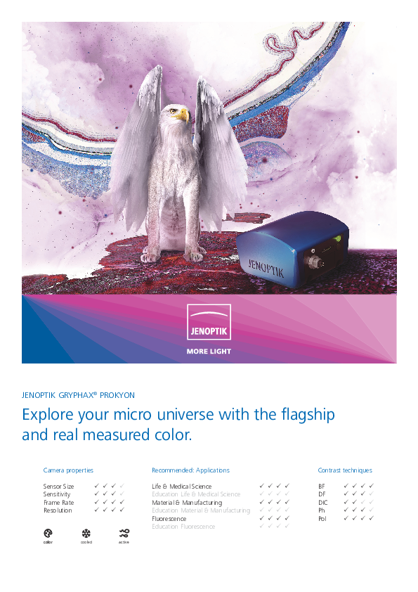 Prokyon.pdf