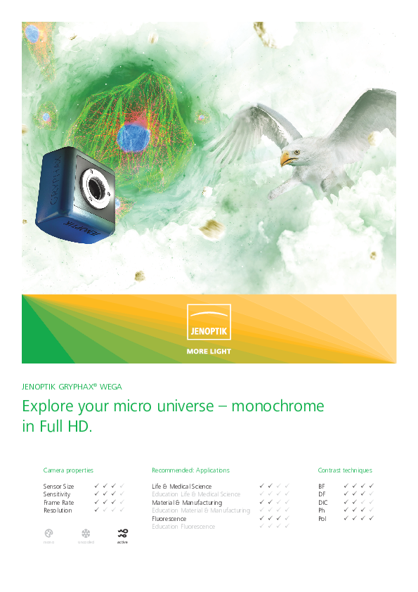 Wega.pdf