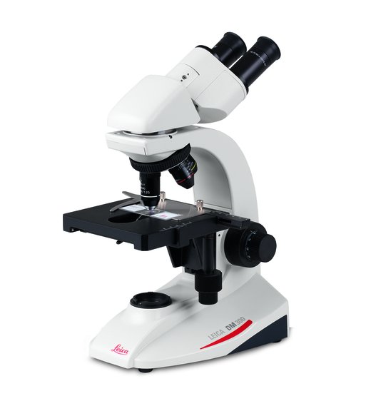 DM300