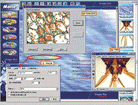 Motic Moticam 2300