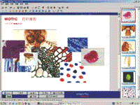Motic Moticam 2300