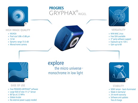 GRYPHAX® RIGEL