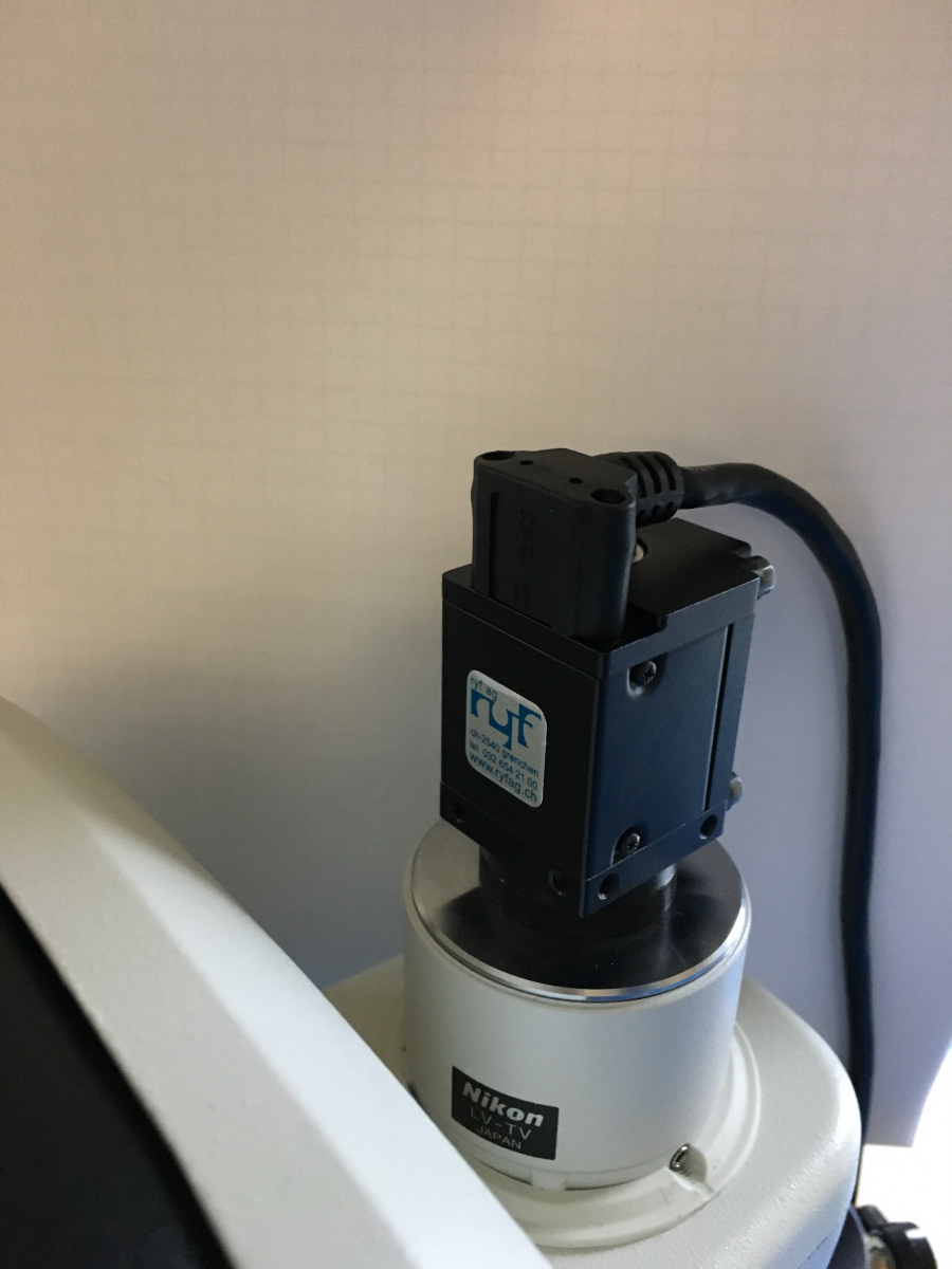 Caméra couleur RYF Capteur CMOS 174