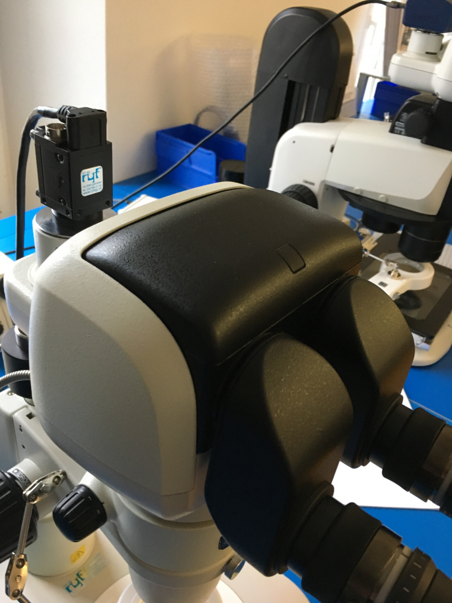 Caméra couleur RYF Capteur CMOS 174